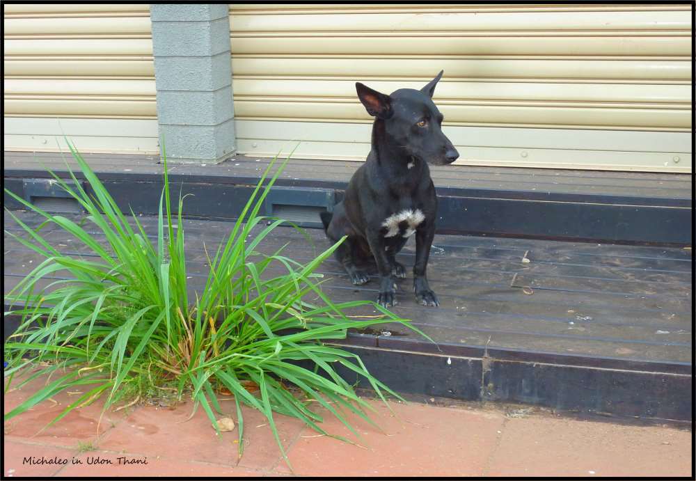 Udon Thani 3.JPG