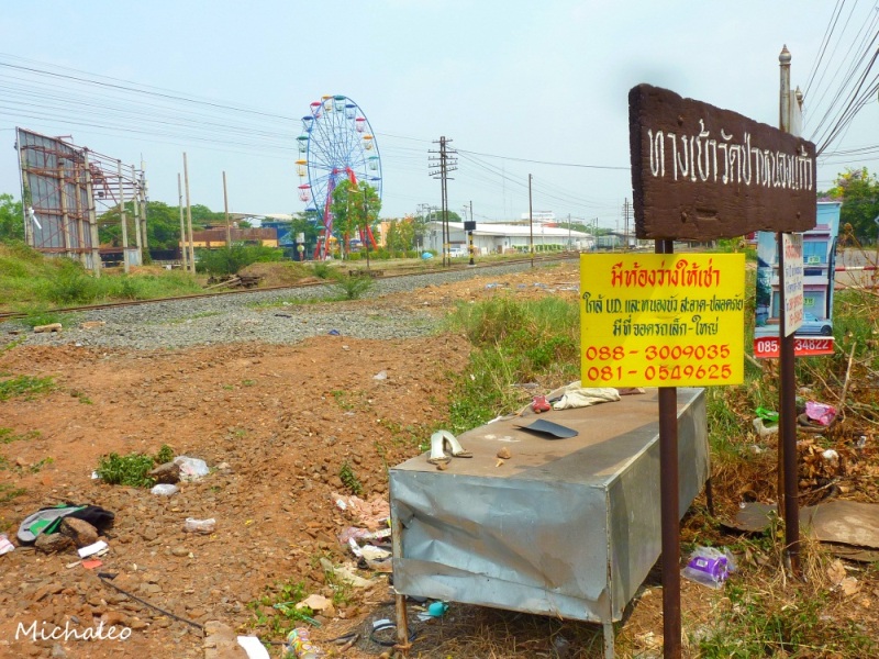 P1050337_zpscabc238c (1).jpg