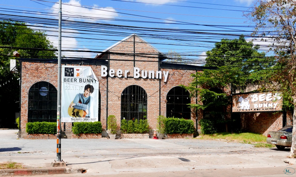 Beer Bunny.JPG