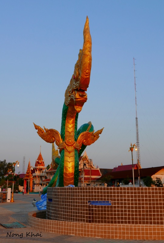 aP1070269.JPG