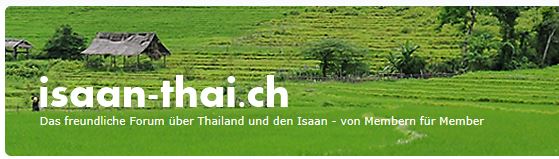 Variante 2 - die grüne....