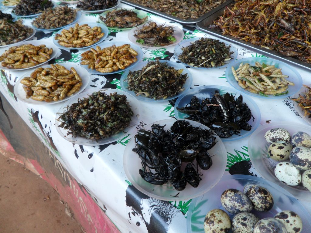 2011-10-24 14.26.19.jpg