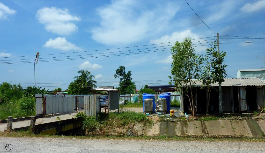 P1090619.JPG