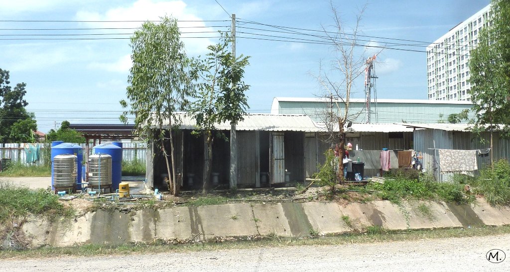 P1090621.JPG