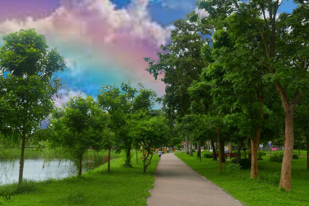 Nong Bua 13.JPG