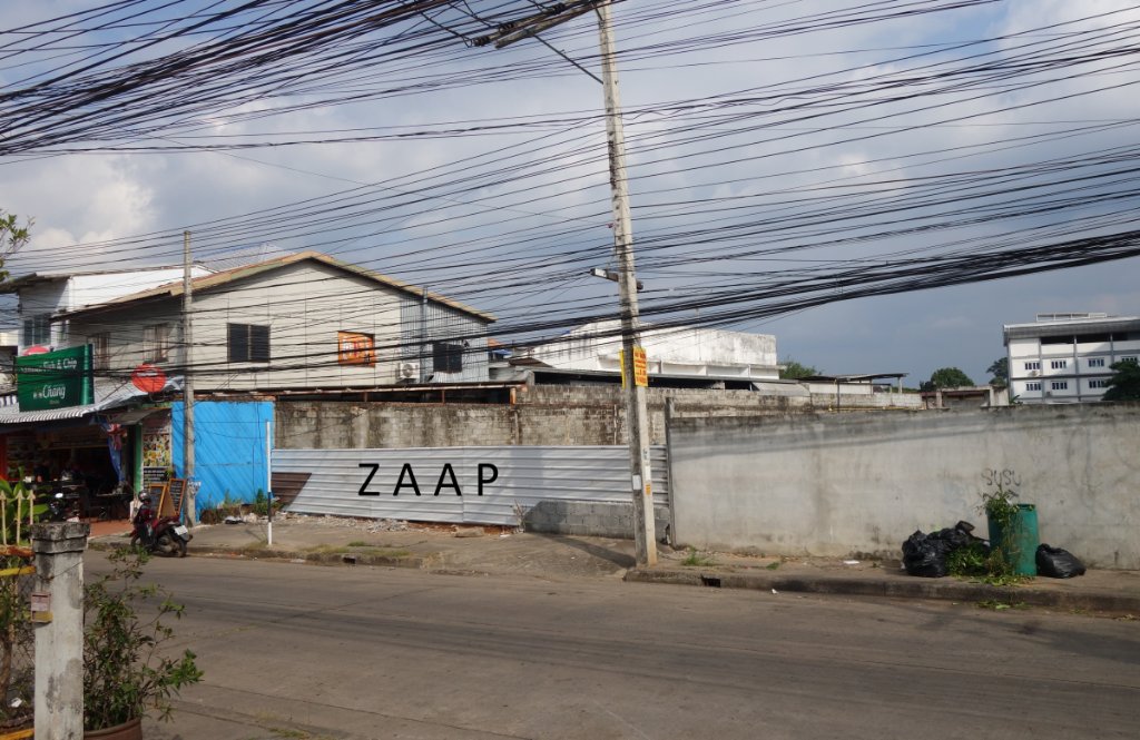 Zaap 2.JPG