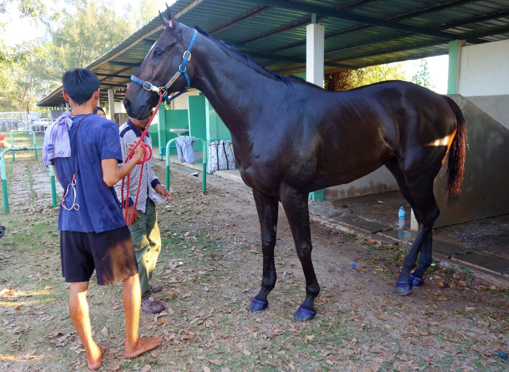 Pferderennbahn d.JPG