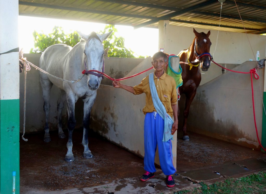 Pferderennbahn c.JPG