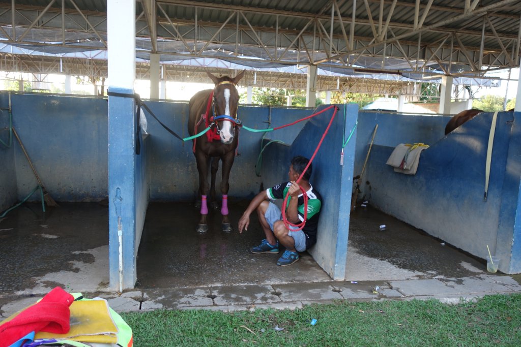 Pferderennbahn f.JPG