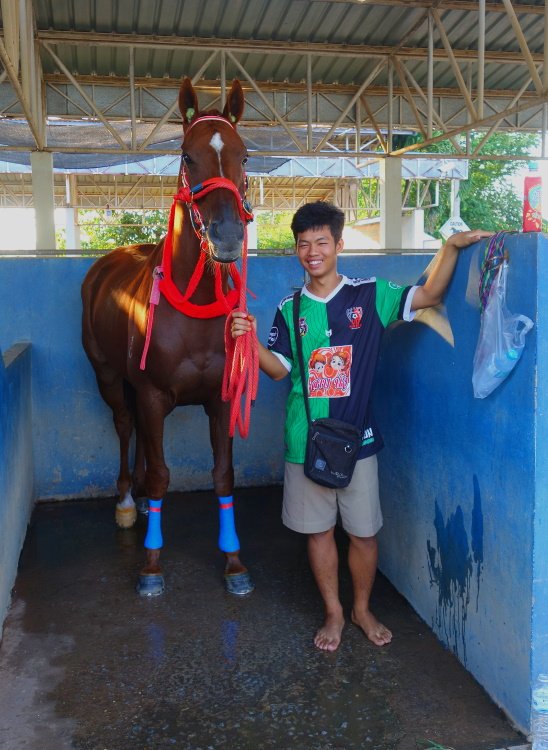 Pferderennbahn g.JPG