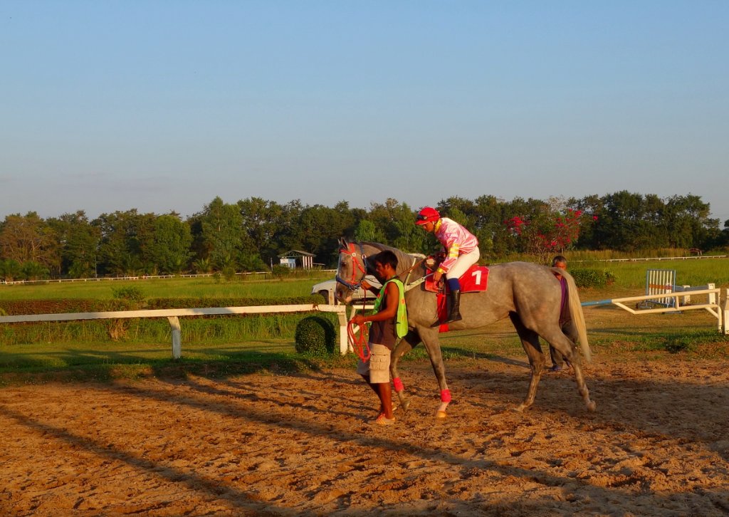 Pferderennbahn 02.JPG