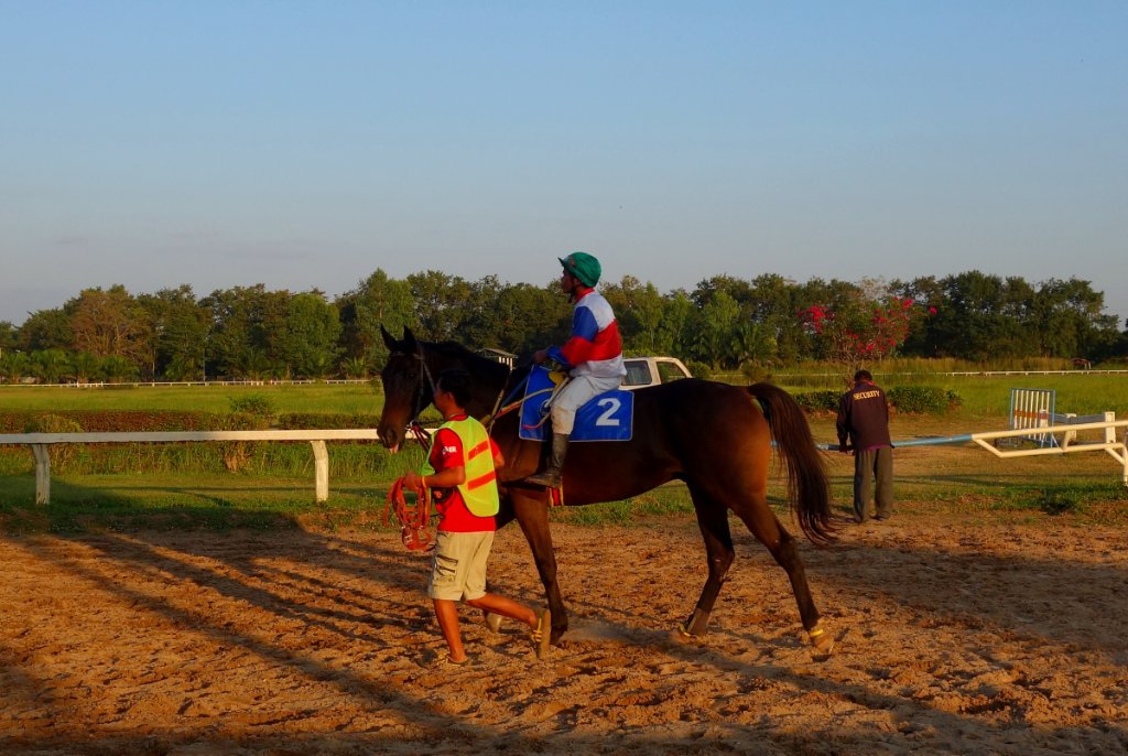 Pferderennbahn 03.JPG