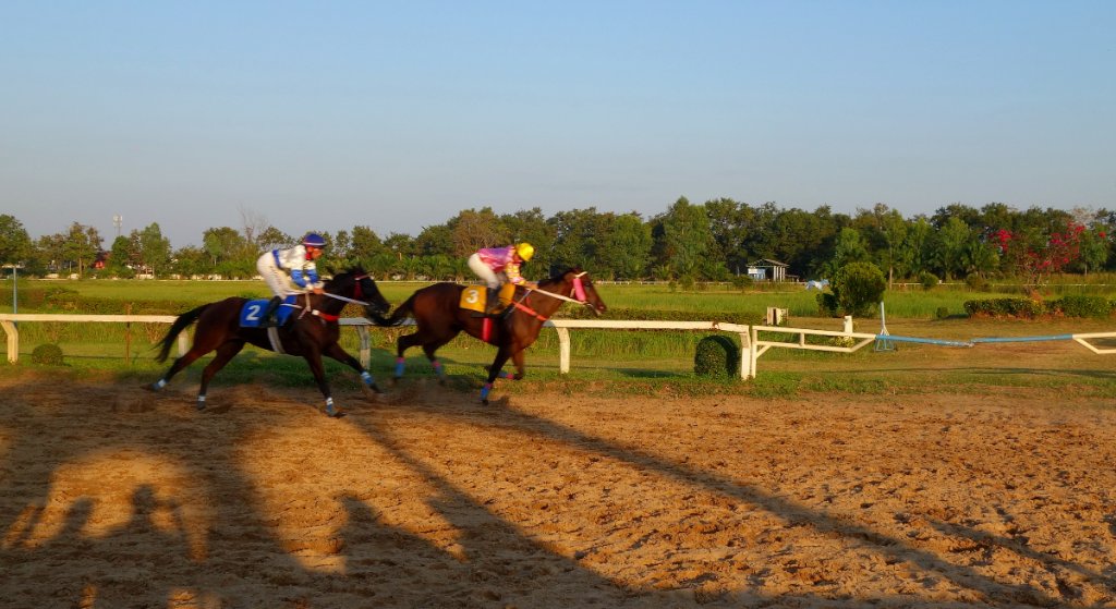 Pferderennbahn l.JPG