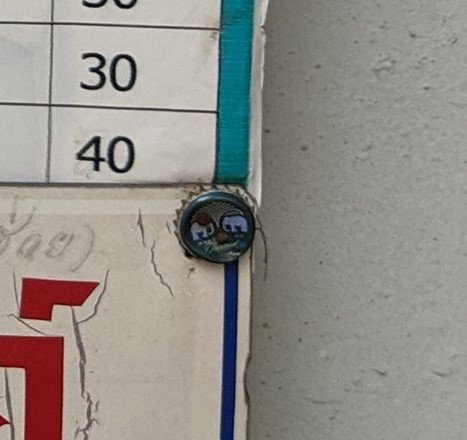 IMG_20191005_080715.jpg