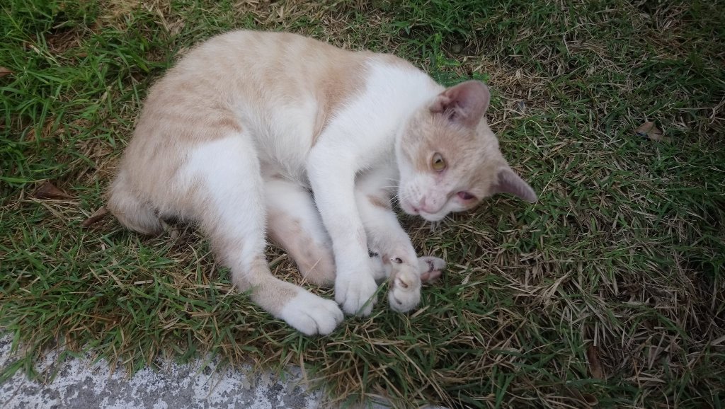 WhatsApp Image 2020-01-11 at 07.02.17.jpeg