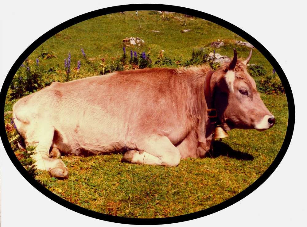 Gretli_zps215e673d.jpg