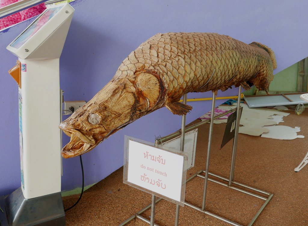Nong Khai Aquarium 1.JPG