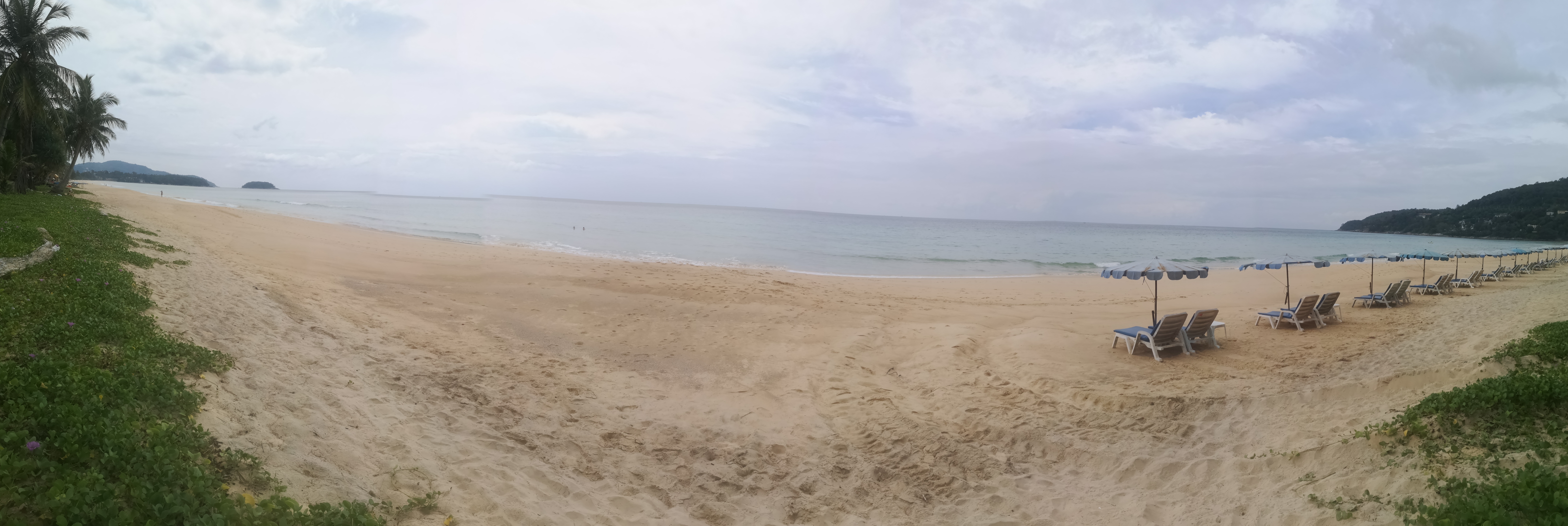 IMG_20211104_130815.jpg