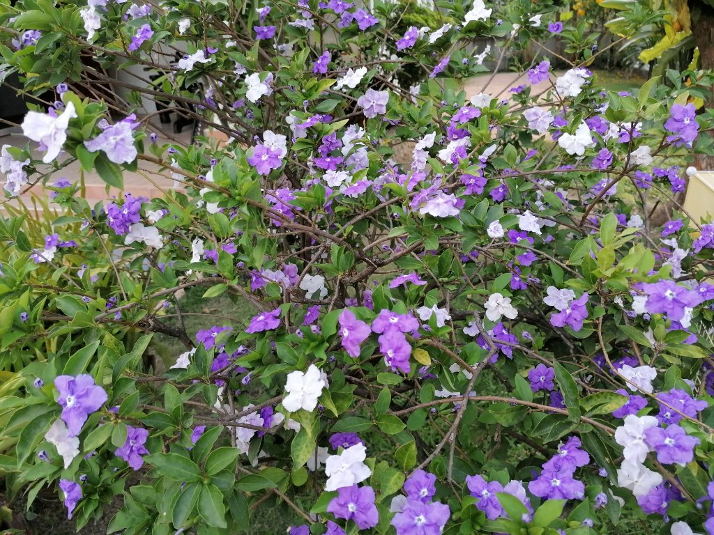 WhatsApp Image 2022-01-18 at 16.38.33.jpeg