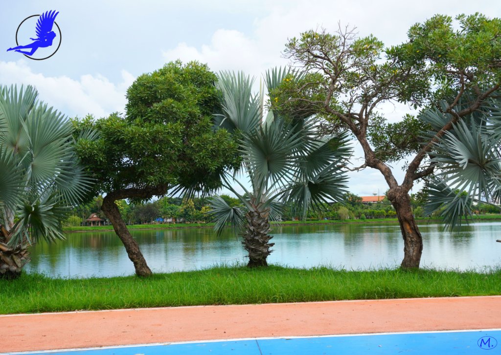 Nong Bua 114.JPG