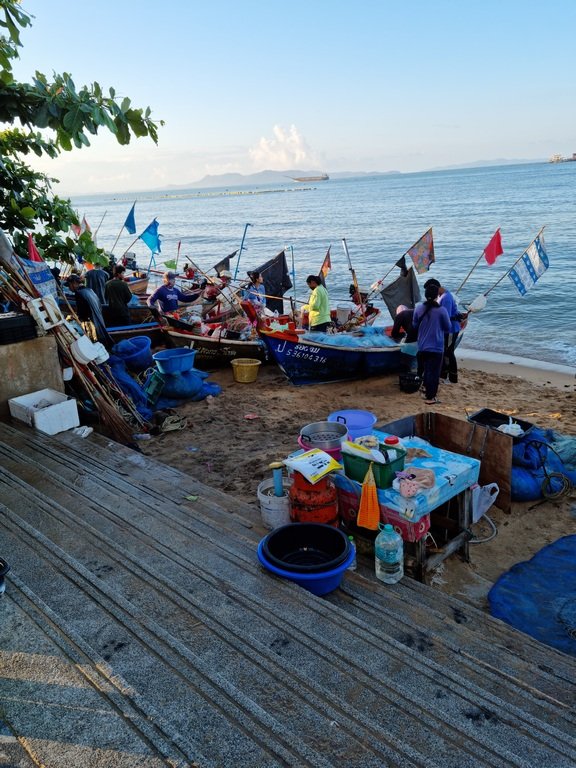 20220123_073225.jpg