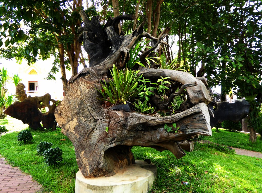 P1010286.JPG