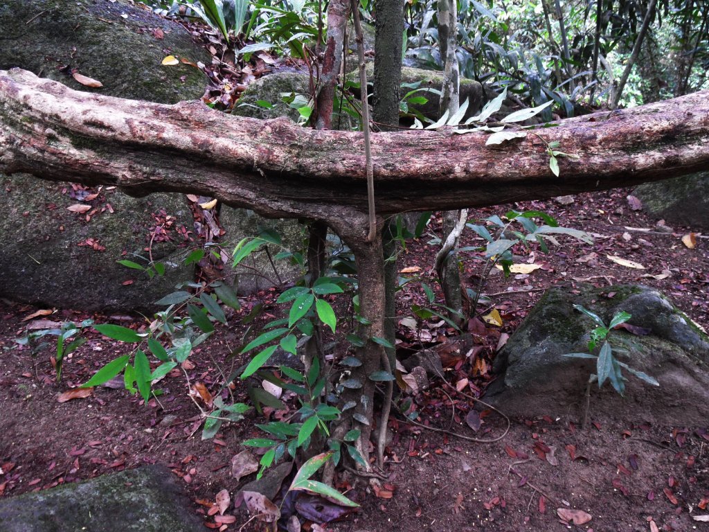 naturkampf-18.jpg