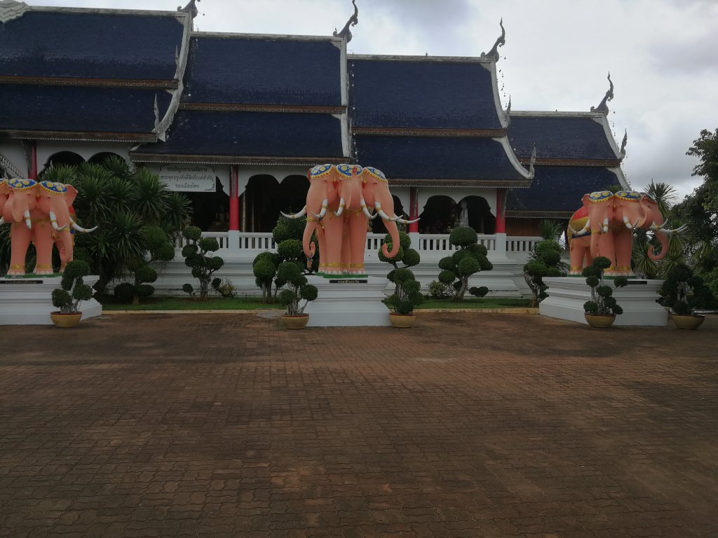 IMG_20190630_112840.jpg