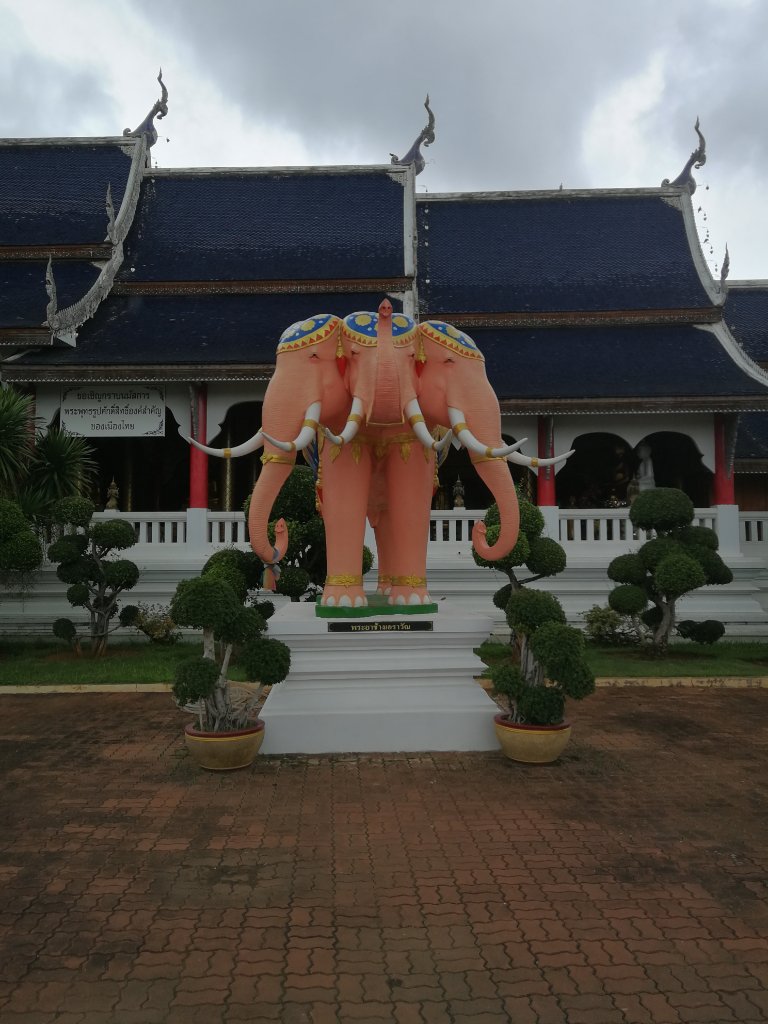 IMG_20190630_112859.jpg