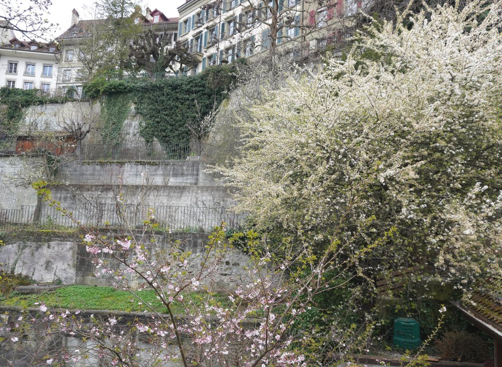 Suvarnabhumi Suites Matte.JPG