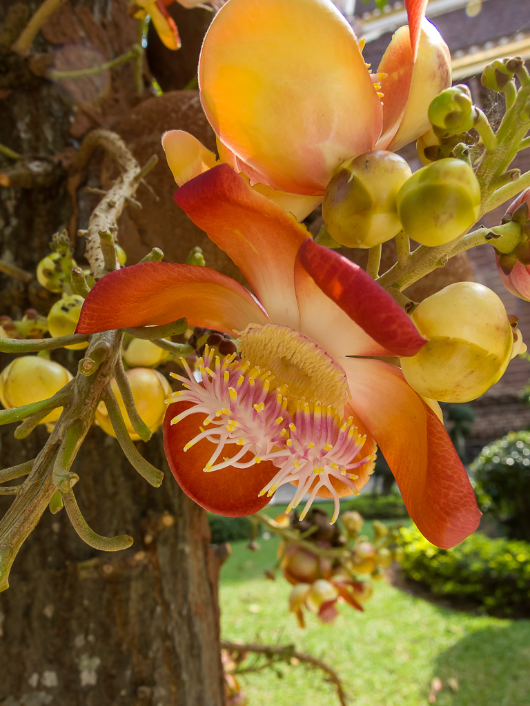 DSCN2105.jpg