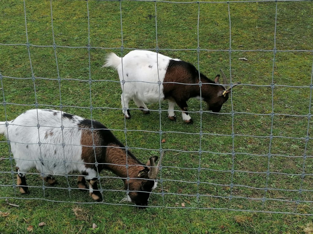 WhatsApp Bild 2024-11-10 um 02.53.58_66f0730e.jpg