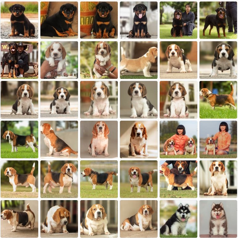 Quelle dog2boy 2.jpg