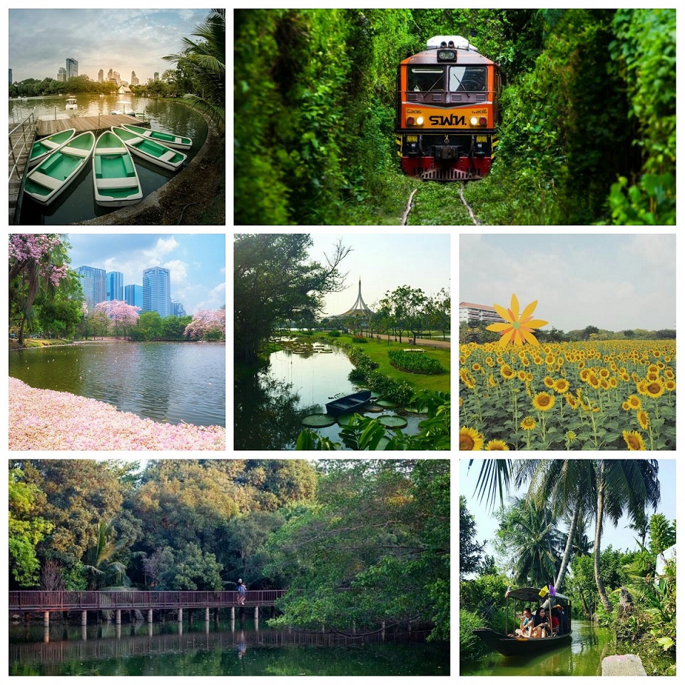 bangkokgreen.jpg