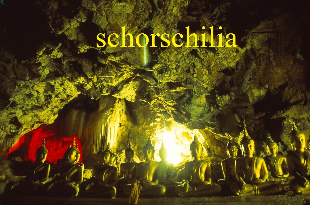 344  PETCHABURI    Spotlight  Cave.jpg