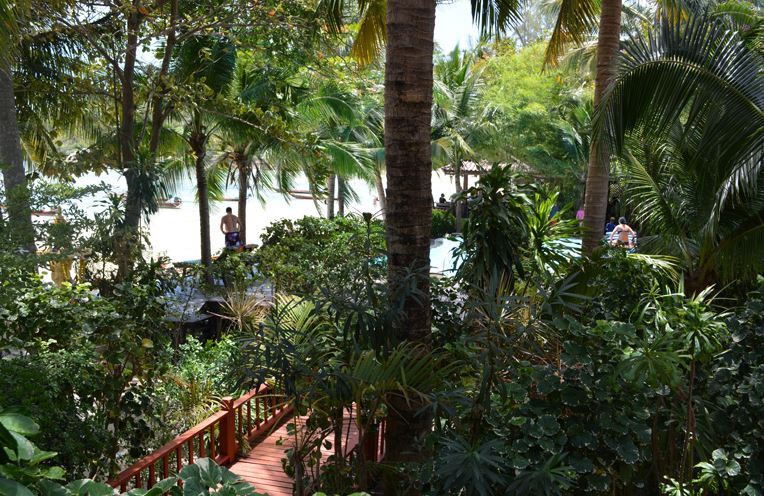 die Standard-Bungalows sind alle um den Pool gruppiert. Die ganze Anlage ist mit verschiedenen Pflanzen dicht bewachsen.