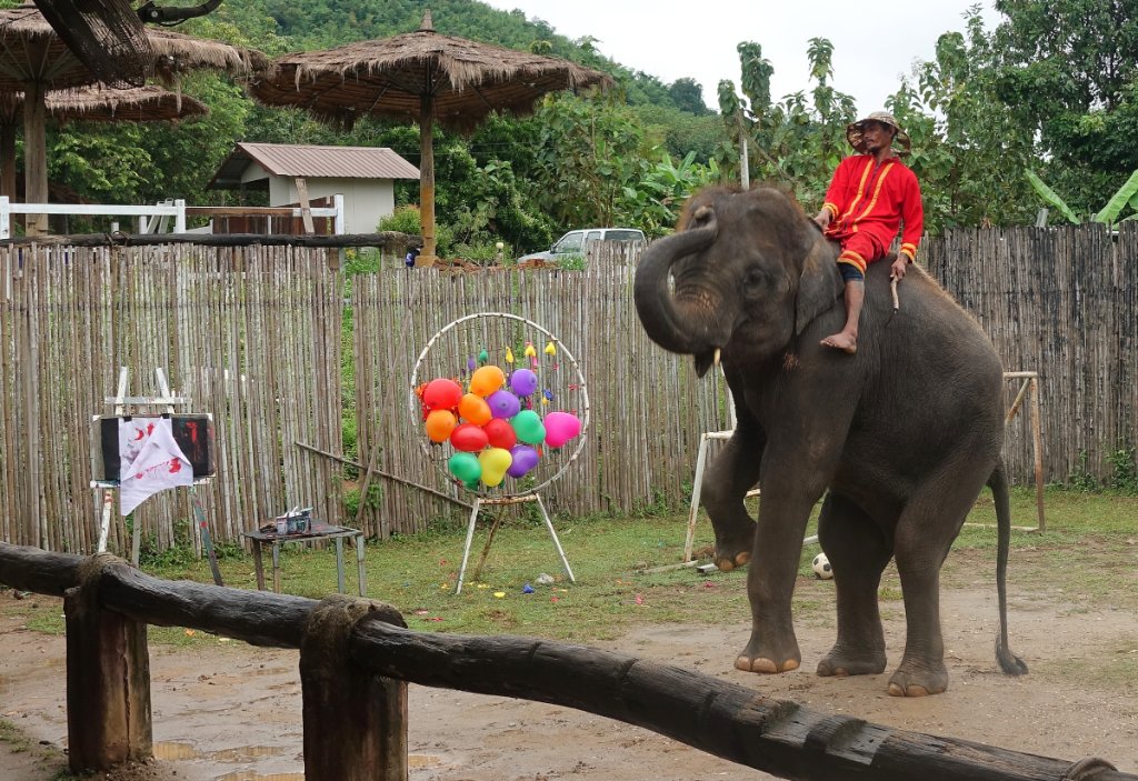 Chang Puak Camp 8.JPG