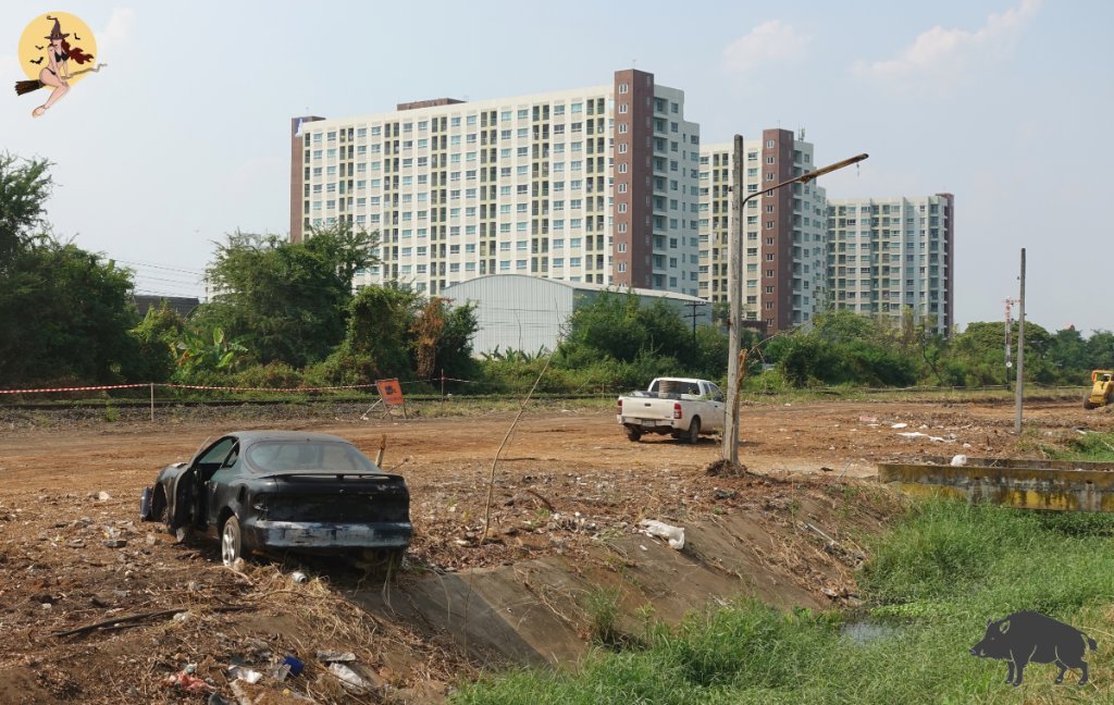 Lumpini h4.JPG