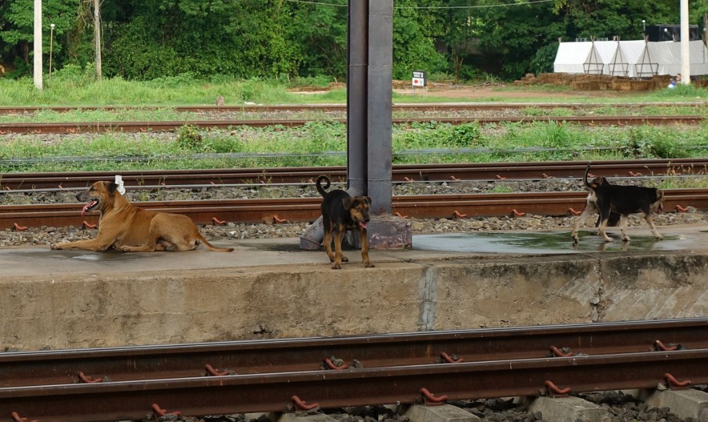 Bahnhof o9.JPG