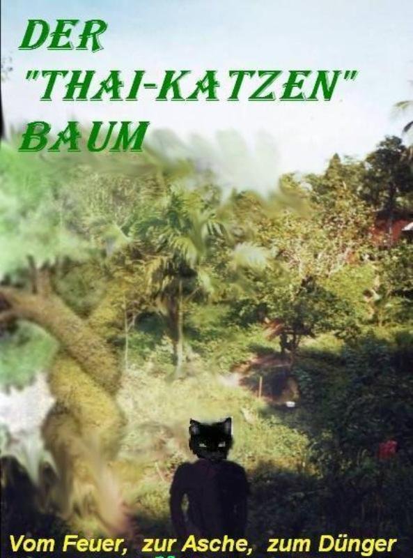 Thai-Katzen-Baum Bild.jpg