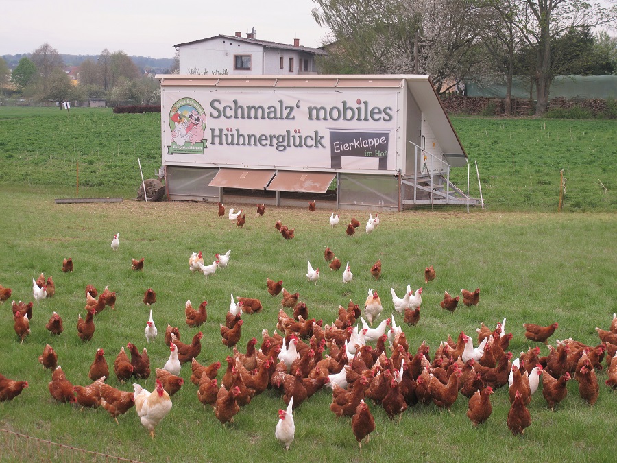 Mobiles Hühner-Hotel